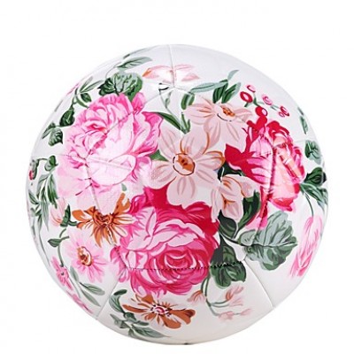 Soccer Ball with Nice Design for Women Football Ball Standard Size 5#